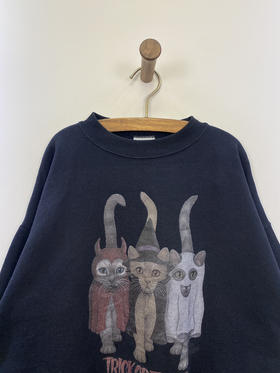 Y2K Vintage TULTEX 卫衣 _SLSS(L)