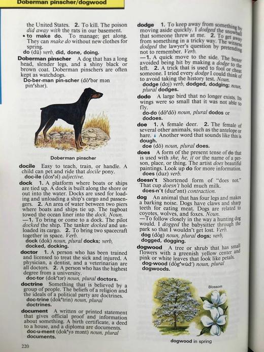 麦克米伦儿童辞典 约千幅彩色插图 精装16开 商品图5