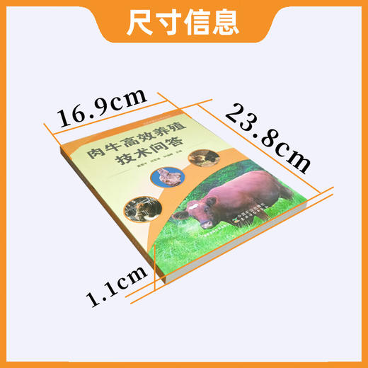 肉牛高效养殖技术问答 【官方正版，可开发票，下单时留开票信息和电子邮箱】 商品图3