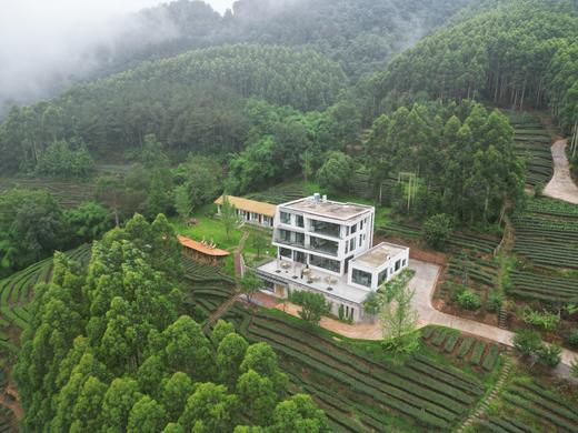 【眉山丹棱-284号院】5房/6房小院，可单房预定，群山环绕，俯瞰山谷，避暑，茶园采茶，K歌、、地暖、草坪、徒步，亲子。wngl 商品图11