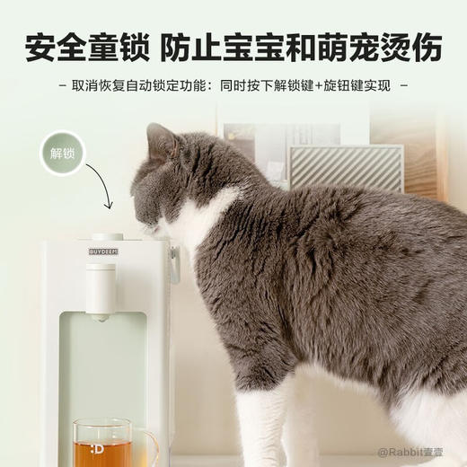 北鼎（Buydeem）台式饮水机 【ZXADZQ10.0】 商品图4