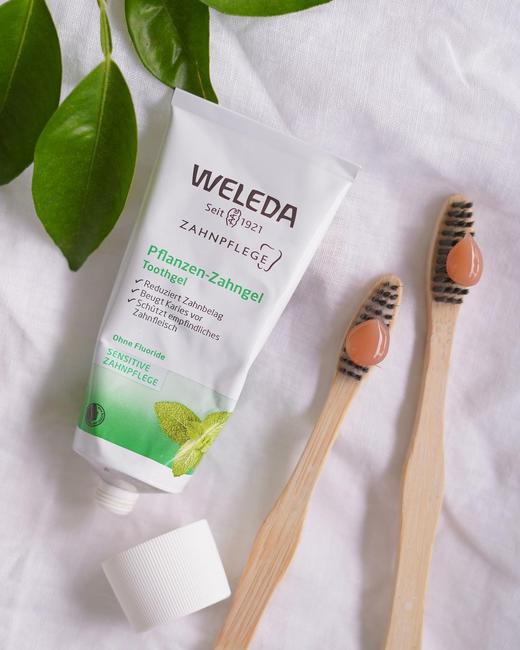 【品牌旗舰】WELEDA维蕾德  综合植物牙膏75ml 有机 无氟 商品图2