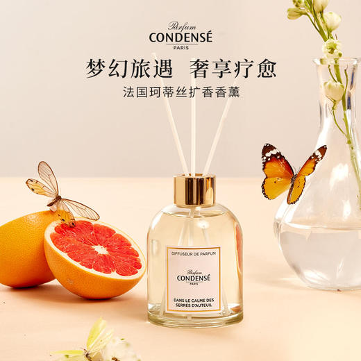 珂蒂丝法国寻香系列室内拓香香薰摆件 商品图0