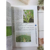 西葫芦南瓜疑难杂症图片对照诊断与* 第2版 无公害蔬菜病虫害防治实战丛书 西葫芦南瓜瓜类蔬菜病虫草害防治技术大全书 角瓜面瓜绿贝贝蔬菜种植技术书 农业园艺学农艺学 *农业出版社【官方正版，可开发票，下 商品缩略图8