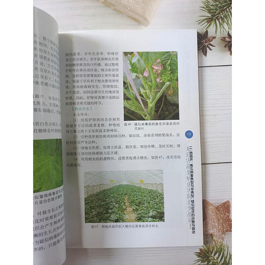 西葫芦南瓜疑难杂症图片对照诊断与* 第2版 无公害蔬菜病虫害防治实战丛书 西葫芦南瓜瓜类蔬菜病虫草害防治技术大全书 角瓜面瓜绿贝贝蔬菜种植技术书 农业园艺学农艺学 *农业出版社【官方正版，可开发票，下 商品图8