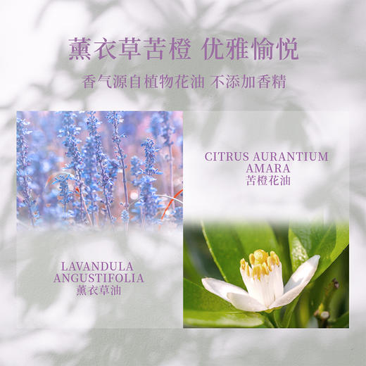 雪玉红景天植萃隔离乳 50g/支 商品图4