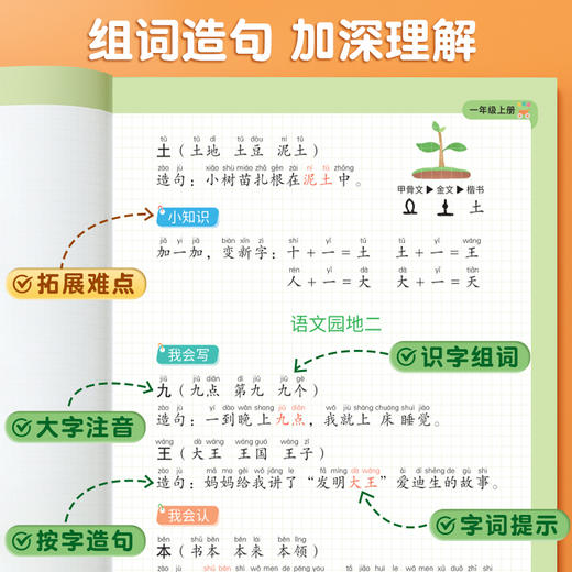 【社群首单福利】小学语文人教版同步生字组词造句本专项训练 商品图2