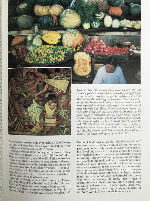 古代美洲的奥秘 约百余幅插图 精装16开 商品图10