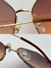 Cartier｜卡地亚太阳镜招牌猎豹造型 SY（AN） 商品缩略图5