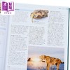 预售 [英文原版]The Cat Encyclopedia 商品缩略图8