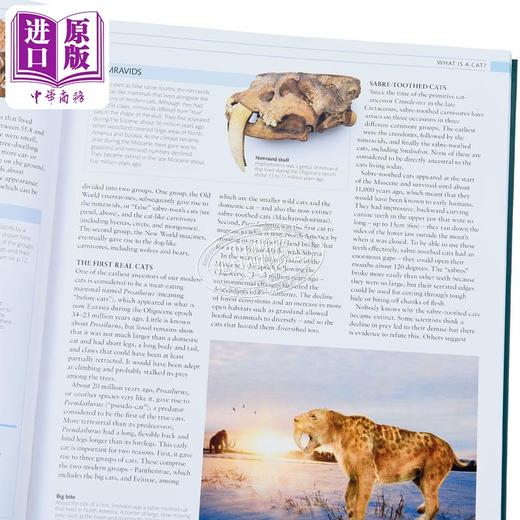 预售 [英文原版]The Cat Encyclopedia 商品图8