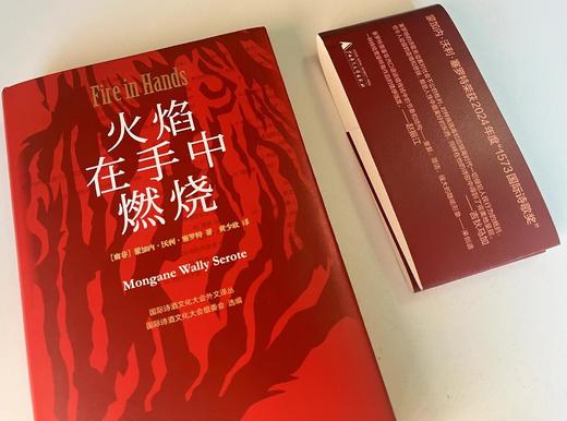 纯粹·火焰在手中燃烧   （南非）蒙加内·沃利·塞罗特/著 商品图2