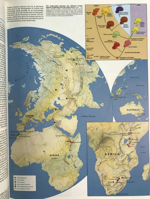 泰晤士世界史地图集（1993） 数百幅地图与插图 精装8开 商品图12