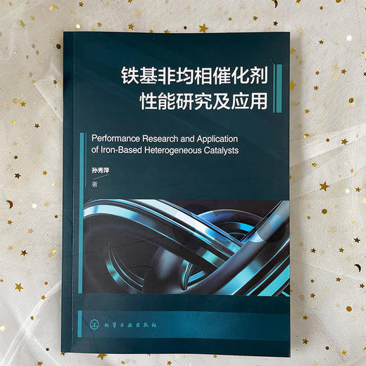 铁基非均相催化剂性能研究及应用 商品图2