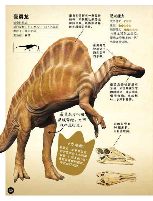 《万物有科学》(全4册) 商品图14