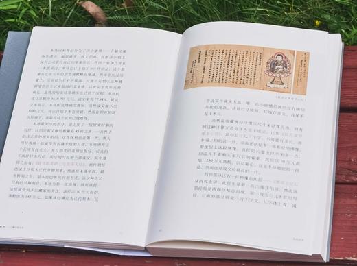 《蠹鱼春秋》，32开平装，韦力著，上海人民出版社2017年一版一印，462页，定价78，售价35元。 商品图6