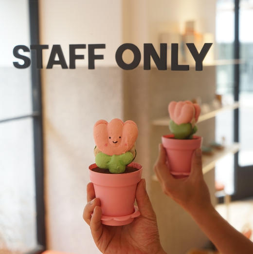 LITTLE WITCH盆栽提拉米苏马龙小蛋糕 （必须提前1天定） 商品图1