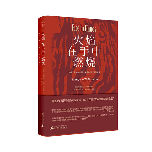 纯粹·火焰在手中燃烧   （南非）蒙加内·沃利·塞罗特/著 商品图0