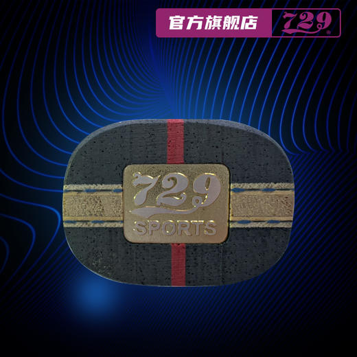 729 外置纤维底板 国特 WS-NZ 系列 进口黄芳碳 专业队 省队 国家队使用 商品图3
