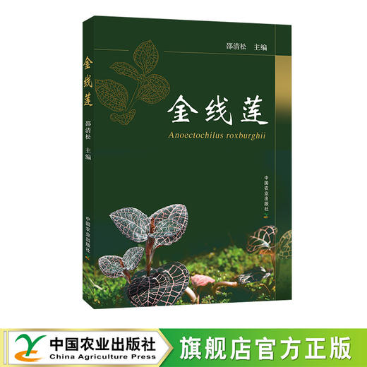 金线莲【中国农业出版社官方正版】 商品图1
