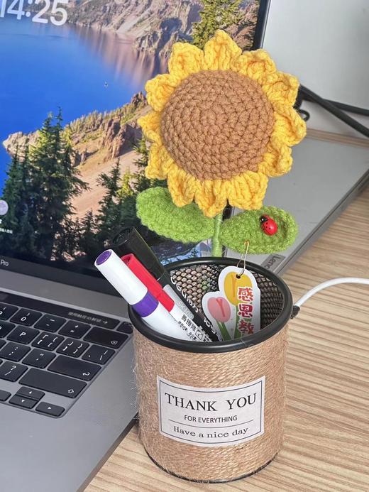 向日葵笔筒52元 商品图2