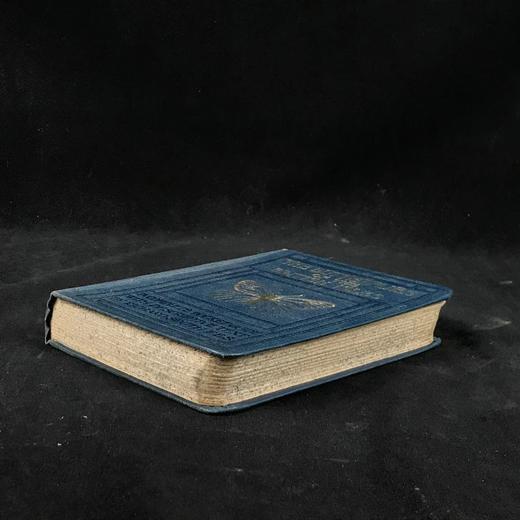 约20世纪早期 不列颠群岛蝶类图鉴 450幅彩色插图与大量黑白插图 漆布精装64开 商品图1