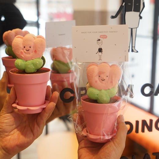 LITTLE WITCH盆栽提拉米苏马龙小蛋糕 （必须提前1天定） 商品图0