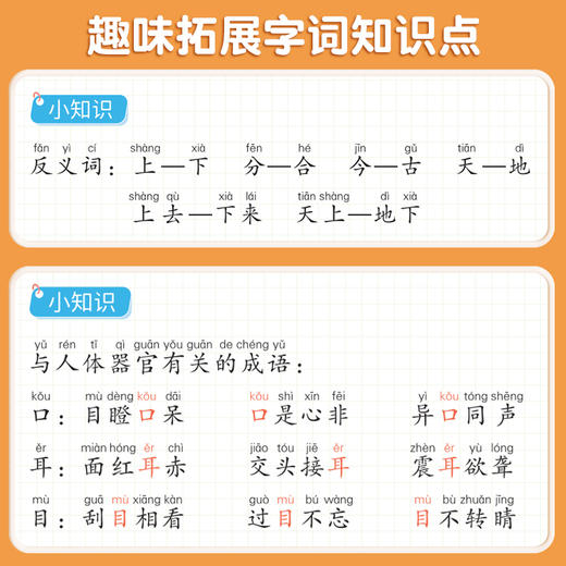 【社群首单福利】小学语文人教版同步生字组词造句本专项训练 商品图3