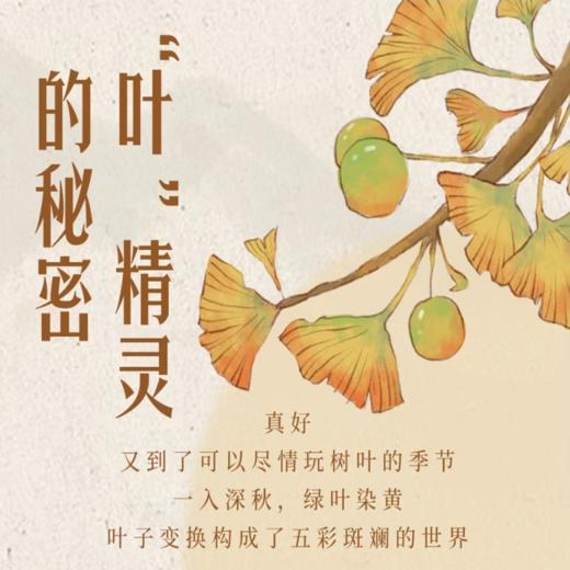 【10.02-11.03】半日亲子营：“叶”精灵的秘密——寻找大自然的美好 商品图0