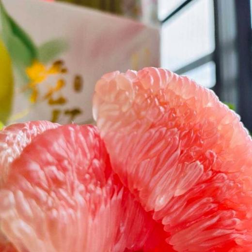 福建琯溪三红柚 柚粒剔透柔嫩 鲜嫩多汁没有酸涩味 富含维C 商品图4