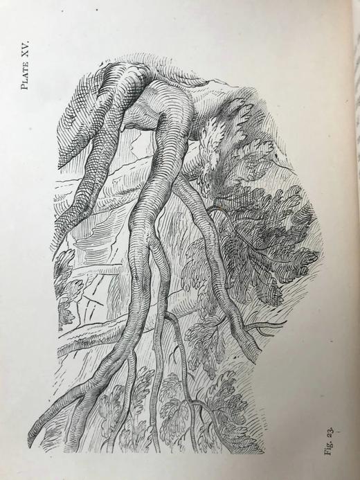 1891年 罗斯金建筑与艺术演讲集 15页插图 真皮精装32开 商品图8