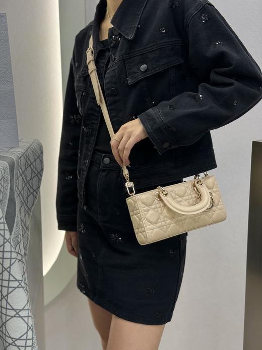 迪奥LadyD-joy横版戴妃包小号六色合集（HH） 商品图14