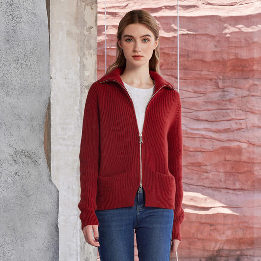 半身缘女装 秋季上衣高领毛衣衫外套时尚柔软舒适243213U01213263 商品图3