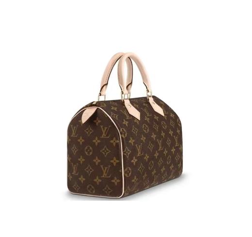 驴家   Speedy 系列 25  可拆卸可调节肩带   女款  棕色（CB） 商品图2