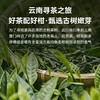 【粮药LY】小青柑 10.8g*10个 官方正品 商品缩略图3