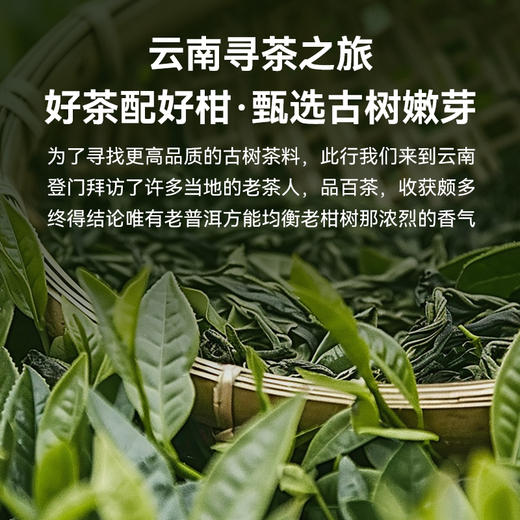 【粮药LY】小青柑 10.8g*10个 官方正品 商品图3