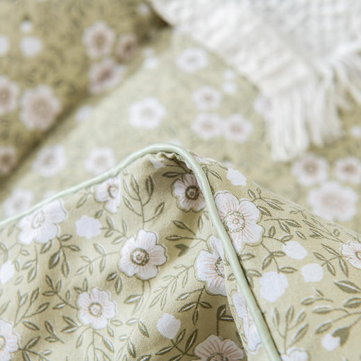 faunen芳恩鹅丝绒暖馨被FN-B6056 商品图3