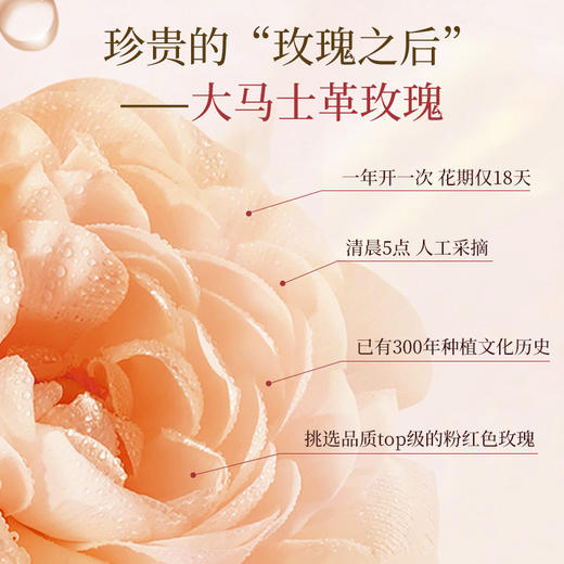 【双12大促】嘉媚乐玫瑰活颜焕采水乳霜  补水保湿  润泽面部  护肤套装 商品图3