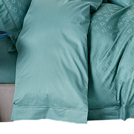 faunen芳恩100支全棉提花六件套FN-Z8046 商品图5