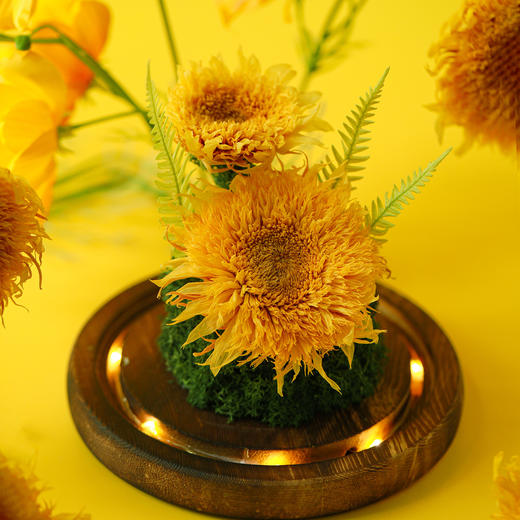 向日葵永生花相框 商品图2