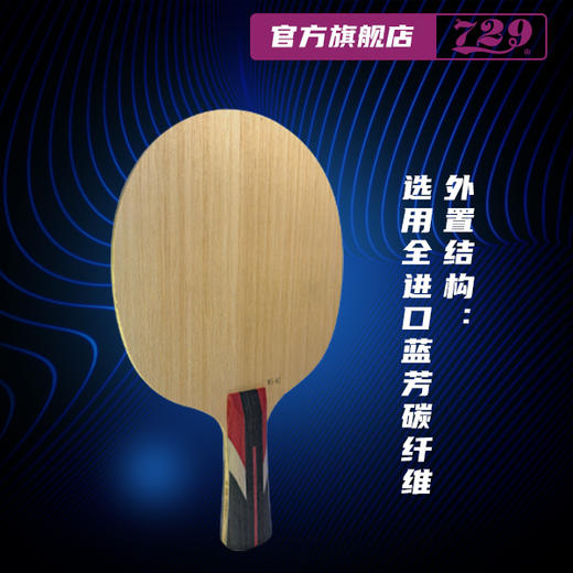 729 外置纤维底板 国特 WS-NZ 系列 进口黄芳碳 专业队 省队 国家队使用 商品图1