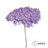 永生绣球 | 香芋紫 商品缩略图0