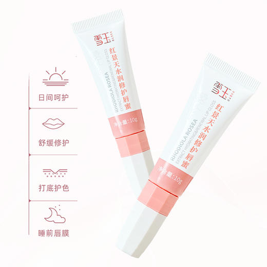 预售12.24发货 雪玉 红景天水润修护唇蜜（10g/支） 商品图7