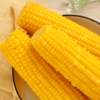心选丨鹿大叔有机糯玉米 粘糯拉丝 老嫩适中 商品缩略图1