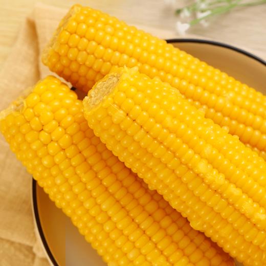 心选丨鹿大叔有机糯玉米 粘糯拉丝 老嫩适中 商品图1
