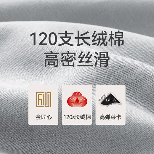 Threegun三枪 【匠心系列-120支长绒棉】圆领男士长袖上衣打底衫-24241A021 商品图10