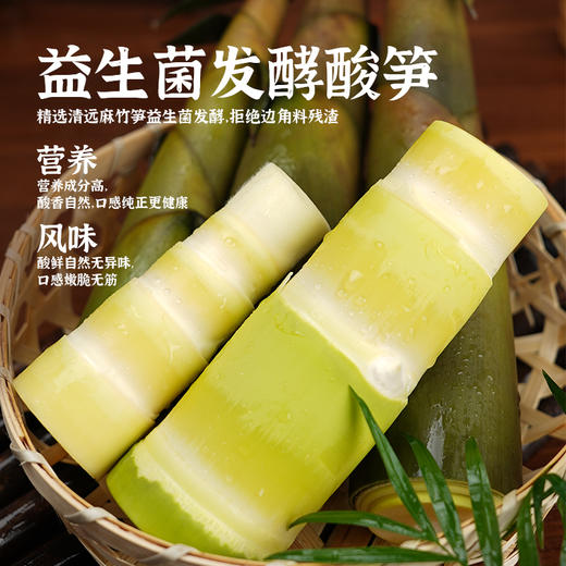 放心酸笋 | 精选广东清远英德麻竹笋 10颗笋尖制成一袋笋衣  酸鲜自然无异味 脆嫩无筋百搭食材 商品图5