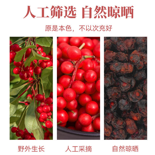 【粮药LY】 五味子(6g*10包) 官方正品 商品图3
