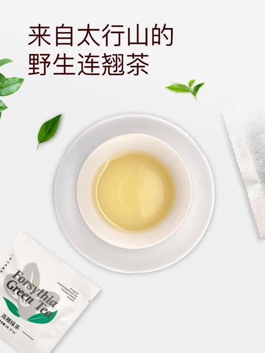 陵川连翘茶新款晋之翘连翘茶山西药茶纸盒绿茶浓香型春季野生叶茶60g 商品图2