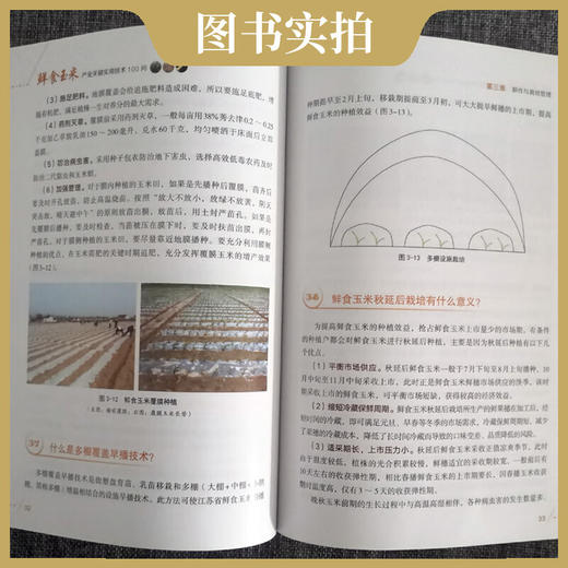 鲜食玉米产业关键实用技术100问 9787109278974 产业 关键 实用技术 玉米产业 关键技术 鲜食玉米【官方正版，可开发票，下单时留开票信息和电子邮箱】 商品图4